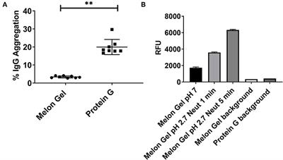 Low pH Exposure During Immunoglobulin G Purification Methods Results in Aggregates That Avidly Bind Fcγ Receptors: Implications for Measuring Fc Dependent Antibody Functions